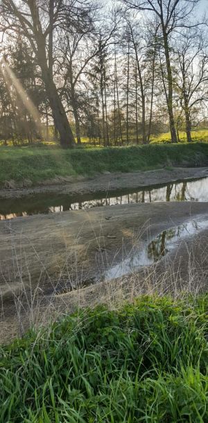 201704   jagstpegelabsenkung 5 65a7ffee