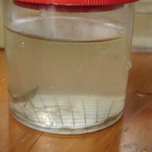 20170812 kinderferienprogramm tiefensee 12 854724de