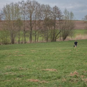 20180412 bachforellenbesatz steinbach 8 97f4d389