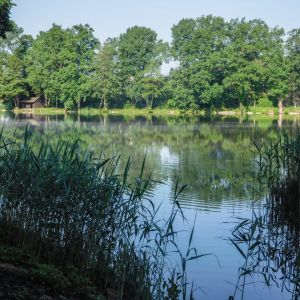 20180531 sanierungsende fleckenbach 3 b7d8352c 20180531 sanierungsende fleckenbach 3 b7d8352c