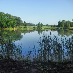 20180531 sanierungsende fleckenbach 4 0728cf06 20180531 sanierungsende fleckenbach 4 0728cf06
