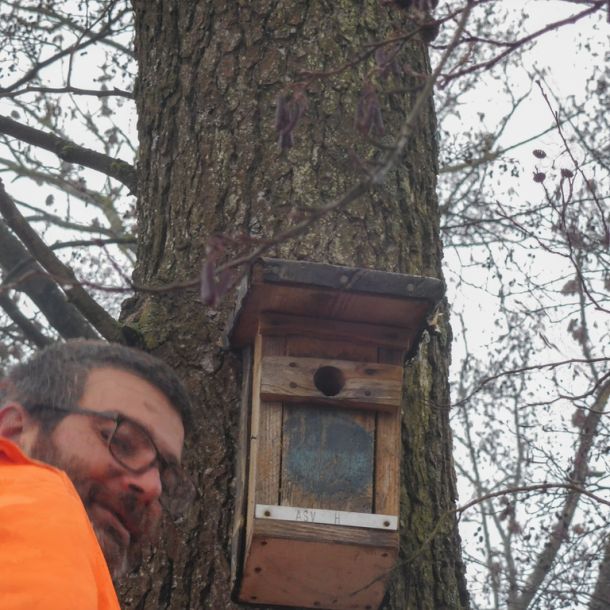 20190202 nistkastensanierung 2 b5b89c95