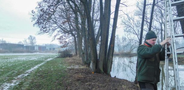 20190202 nistkastensanierung 3 676b06bd