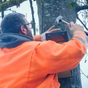 20190202 nistkastensanierung 7 23fc4bbb