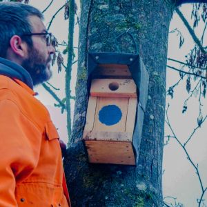 20190202 nistkastensanierung 8 39a25568