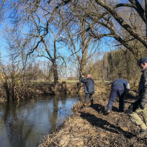 20190216 arbeitseinsatz mit stegbau jagst 51 e4232085