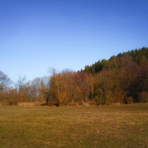 20190216 arbeitseinsatz mit stegbau jagst 55 a7a3e1bb