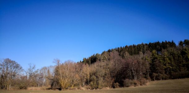 20190216 arbeitseinsatz mit stegbau jagst 56 f5fb381c