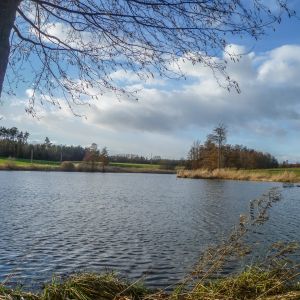 20190311 fleckenbachsee maerz 2019 13 daf75682