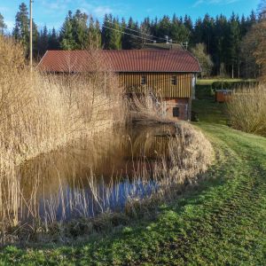 20190311 fleckenbachsee maerz 2019 5 201dbeba