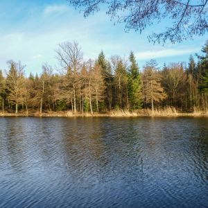 20190311 fleckenbachsee maerz 2019 6 78175d9a