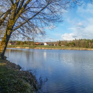 20190311 fleckenbachsee maerz 2019 7 83a3a6c3