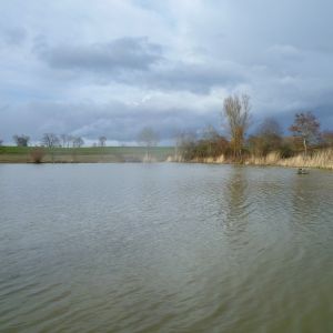 20190311 loeffelstelzweiher maerz 2019 10 7151b2ec