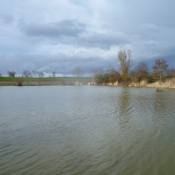 20190311 loeffelstelzweiher maerz 2019 10 7151b2ec