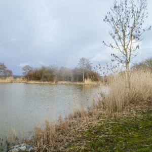 20190311 loeffelstelzweiher maerz 2019 4 15ebf384