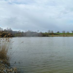 20190311 loeffelstelzweiher maerz 2019 9 71b05c56