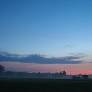 20190525 wallerseminar 112 670caa0c