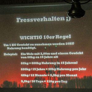 20190525 wallerseminar 13 313fec60