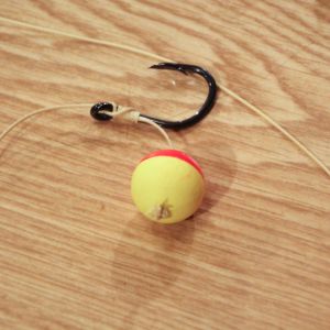 20190525 wallerseminar 66 6499bc14