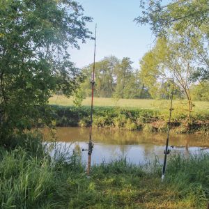 20190526 wallerseminar 114 cd0f3a7e