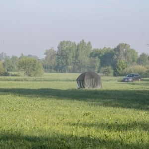 20190526 wallerseminar 116 3d7ae058