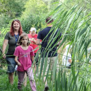 20190810 kinderferienprogramm loeffelstelzweiher 7 f8c8b25e