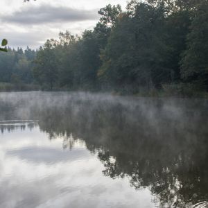 Abfischen und Vereinstag 11.10.2020