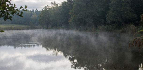 20201011 vereinstag und abfischen fleckenbachsee 1 edfe3a5a