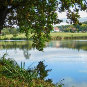 20201011 vereinstag und abfischen fleckenbachsee 14 aa72d5ad