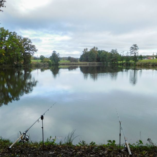20201011 vereinstag und abfischen fleckenbachsee 19 f88a7fe8