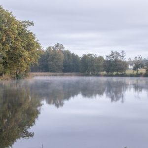 20201011 vereinstag und abfischen fleckenbachsee 2 e8952800