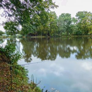 20201011 vereinstag und abfischen fleckenbachsee 20 3f926d2a
