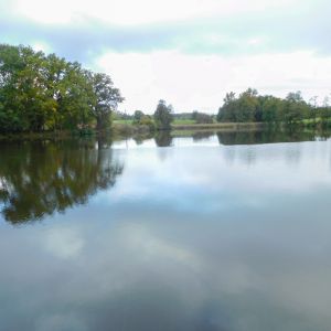 20201011 vereinstag und abfischen fleckenbachsee 21 abd1dc41