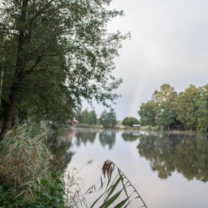 20201011 vereinstag und abfischen fleckenbachsee 5 e76be865