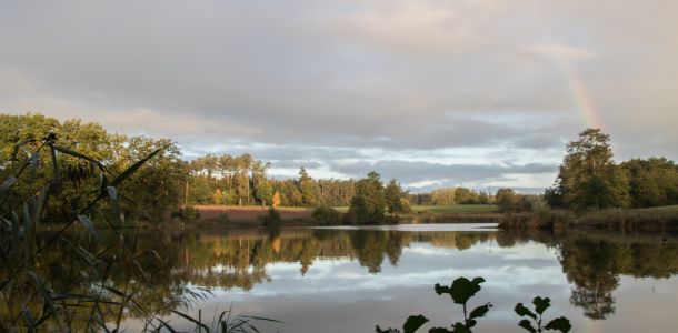 20201011 vereinstag und abfischen fleckenbachsee 8 a5b9a27c