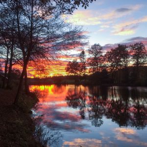 20201102 fleckenbachsee sonnenuntergang 1 91076b25