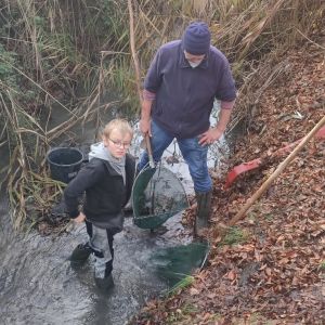 20251115 dorfseeablassen 007e01fbe6