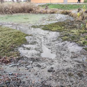 Dorfseeablassen 15.112.2025