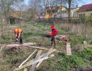 20260411 baufortschritt eigenleistungen magazin da886156