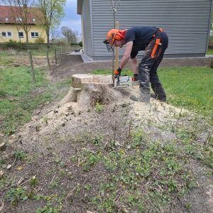 20260418 baufortschritt eigenleistungen magazin b7708d7e