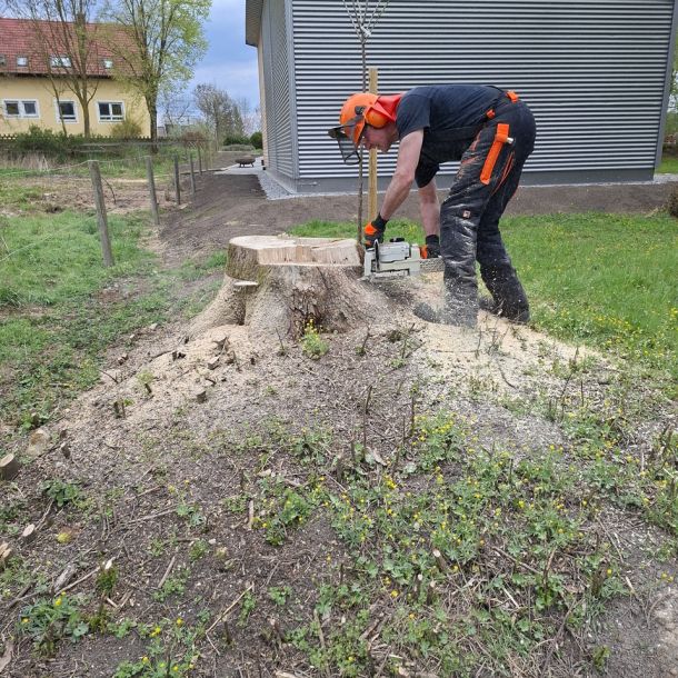 20260418 baufortschritt eigenleistungen magazin b7708d7e