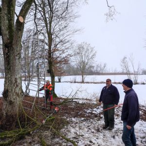 20260131 baufortschritt eigenleistungen magazin aussenarbeiten e44d3dd9