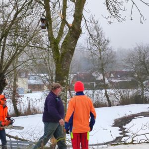 20260131 baufortschritt eigenleistungen magazin aussenarbeiten 019ba5d5a