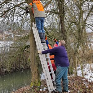 20260131 baufortschritt eigenleistungen magazin aussenarbeiten 038dc6c