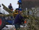 20260131 baufortschritt eigenleistungen magazin aussenarbeiten d4720f6f