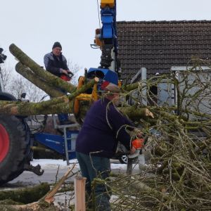 20260131 baufortschritt eigenleistungen magazin aussenarbeiten d4720f6f