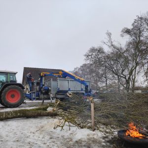 20260131 baufortschritt eigenleistungen magazin aussenarbeiten b93a3a9a