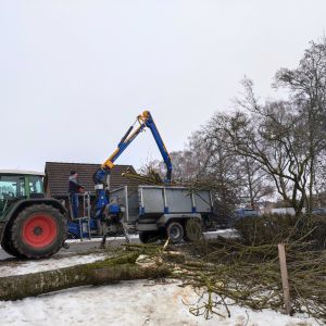 20260131 baufortschritt eigenleistungen magazin aussenarbeiten 068d56355