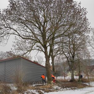 20260131 baufortschritt eigenleistungen magazin aussenarbeiten 079d50f484