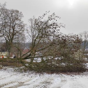 20260131 baufortschritt eigenleistungen magazin aussenarbeiten 083f5f5da